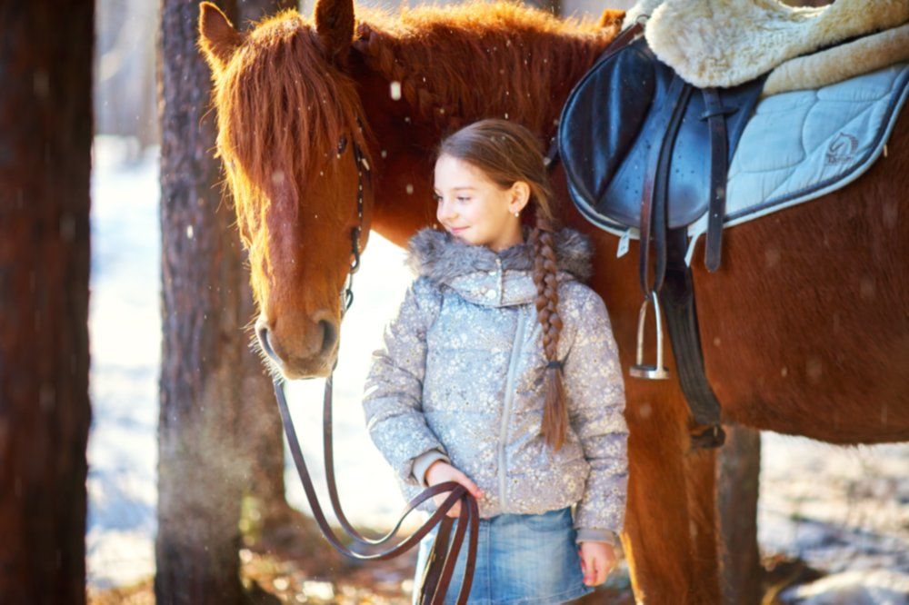 Первая встреча.