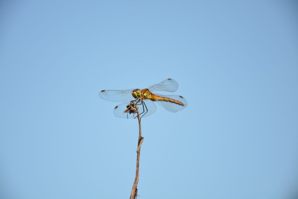 Photograph by Инна
