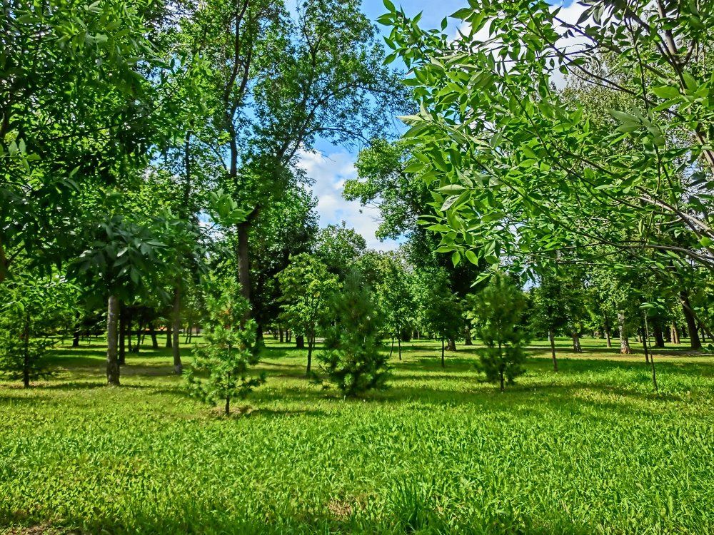 Летний парк HDR