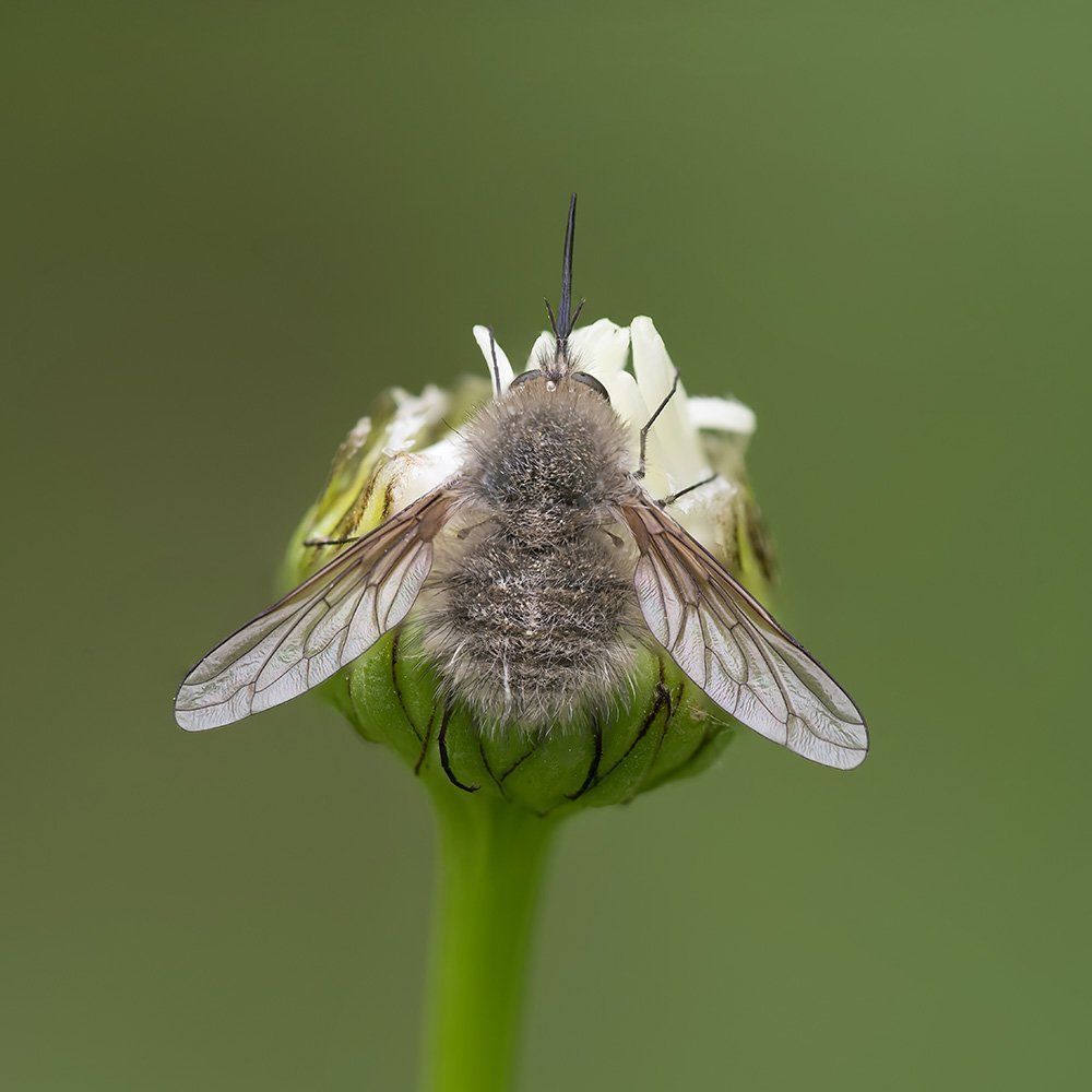 К взлету готов!