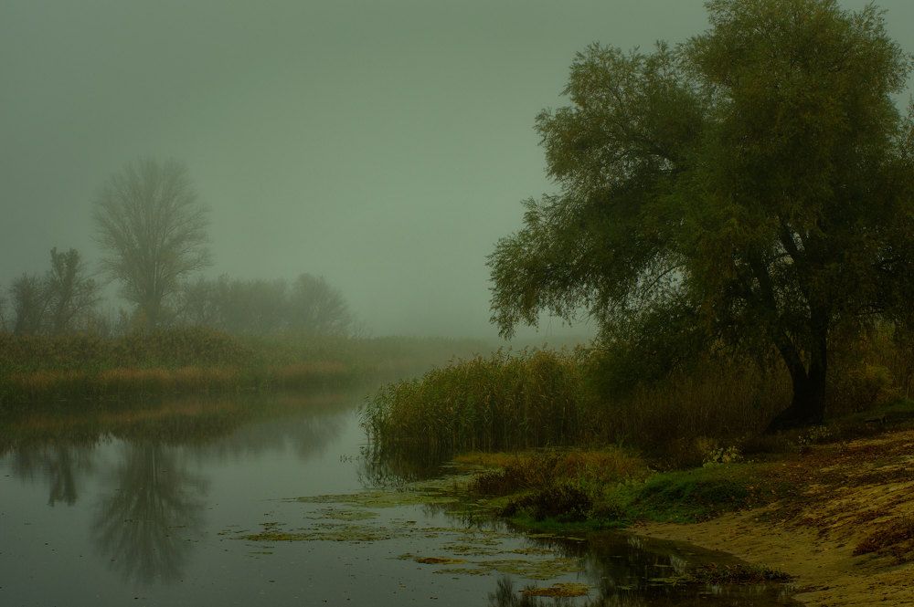 Утро туманное