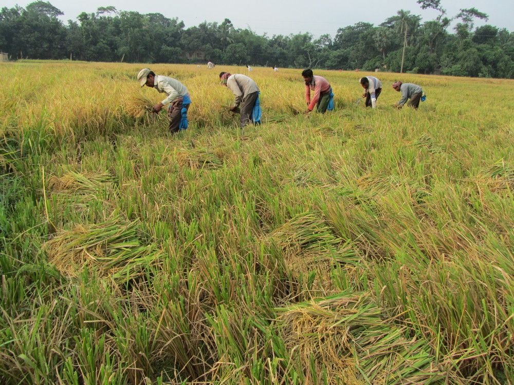 Beautiful Banglasesh