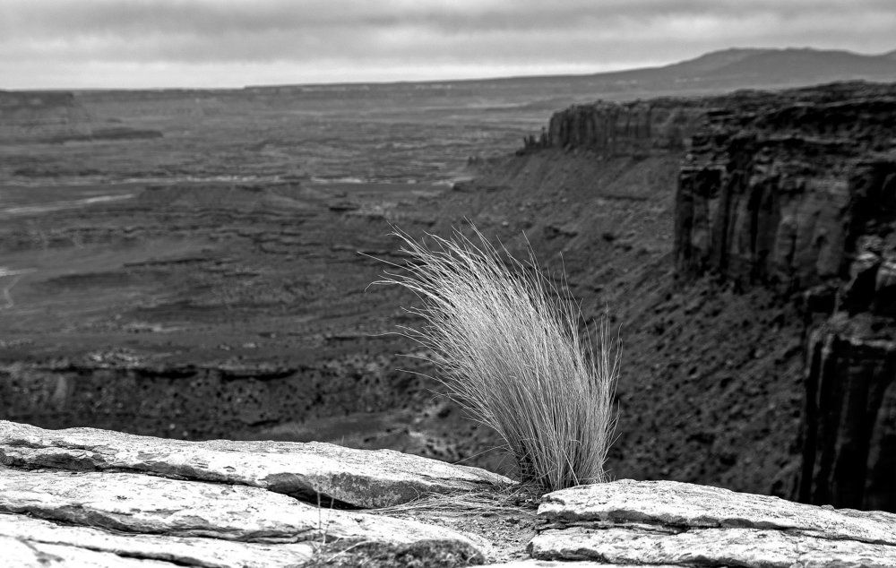 Одиночество