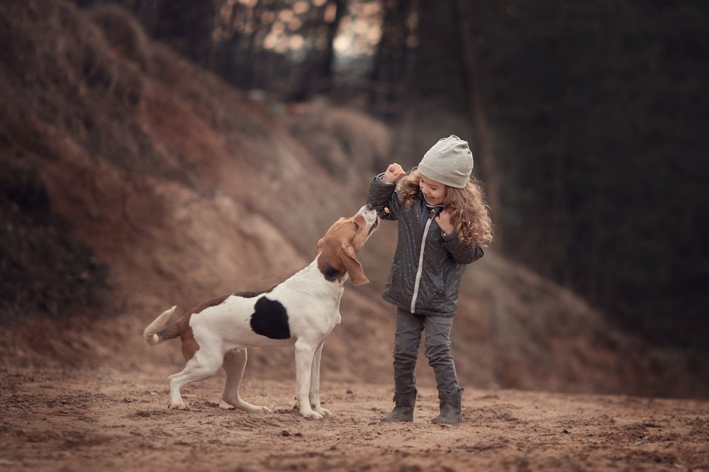 Лучший друг