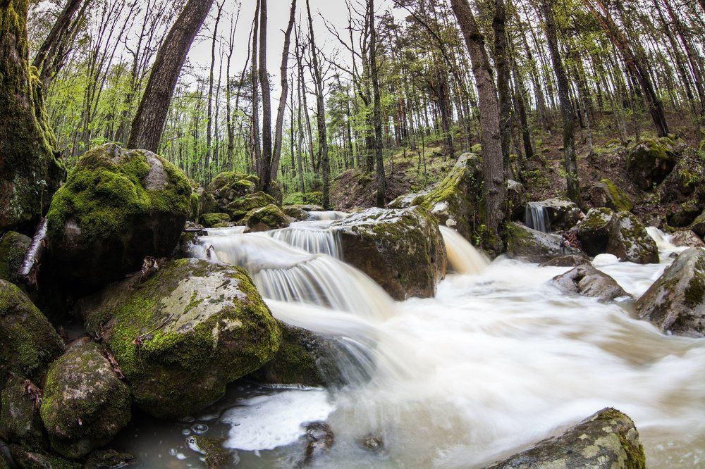 В потоке весны