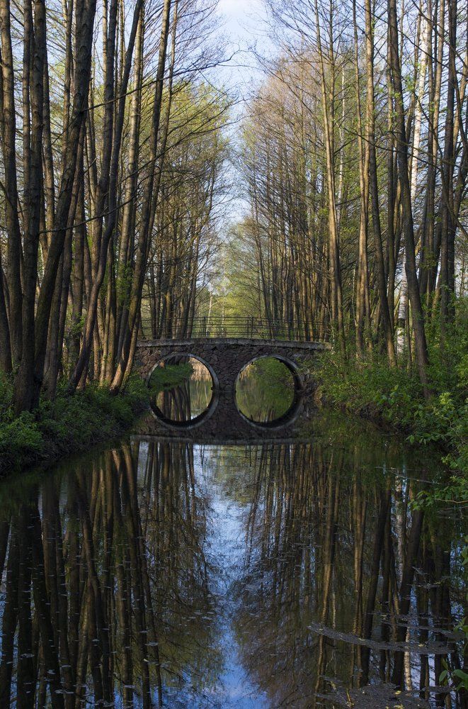 Весна в парке.