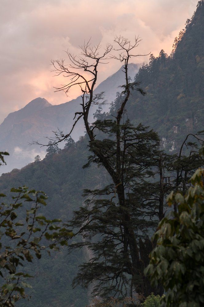 Photograph by Виктор Петров