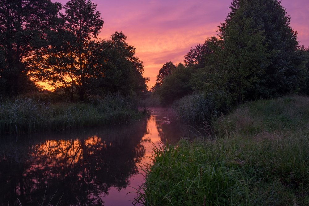 Кровавый рассвет