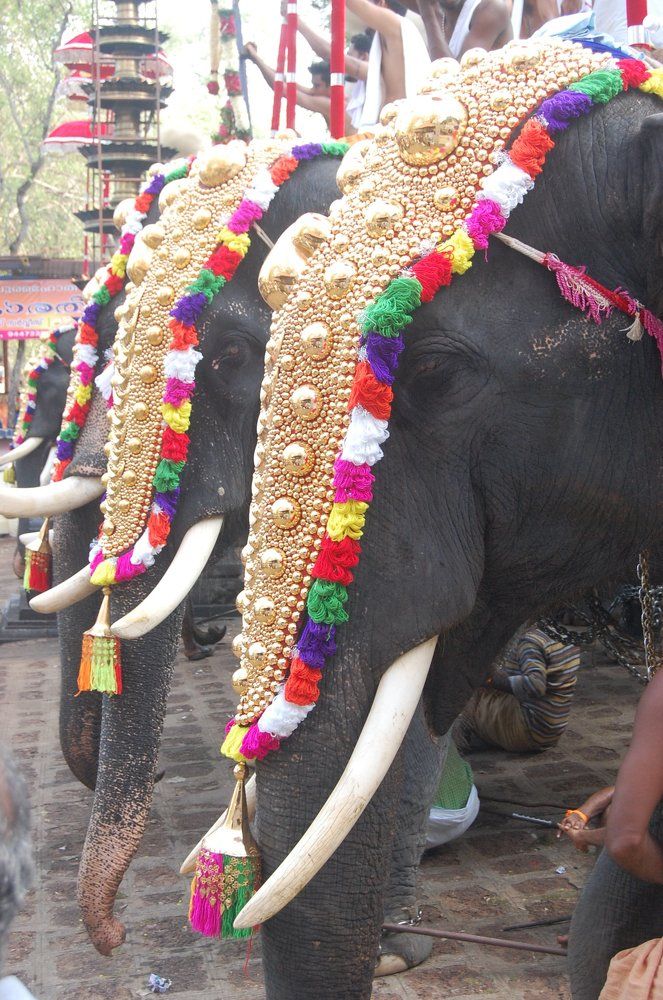 golden memories.......