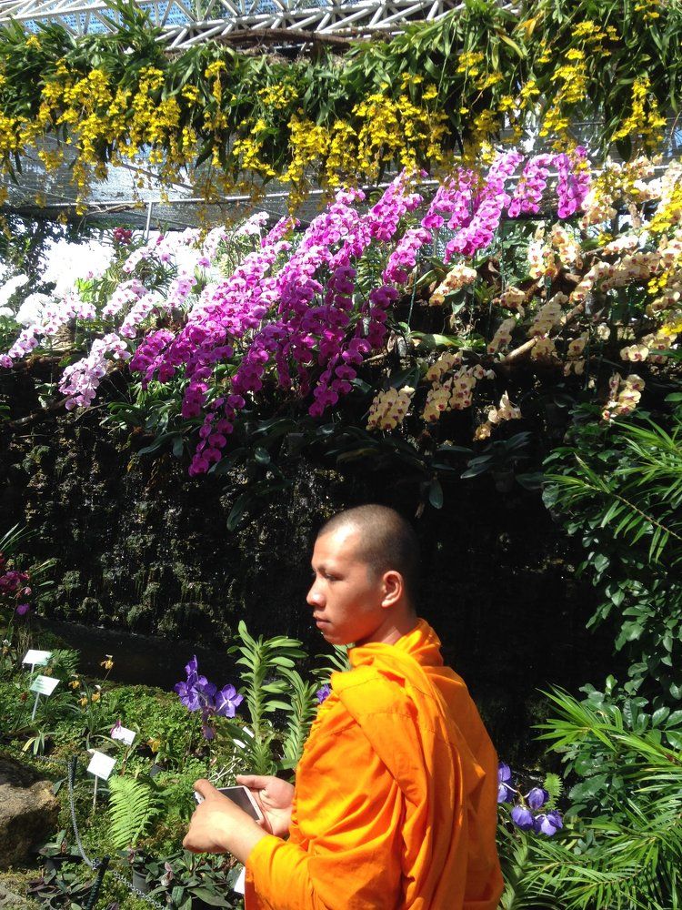 Monk