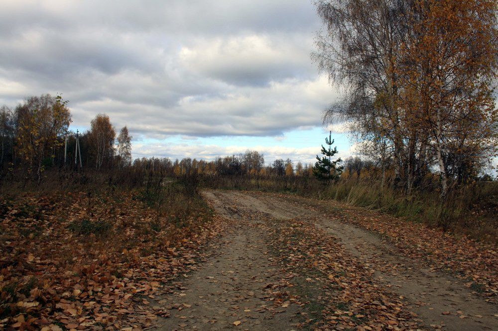 осенняя дорога