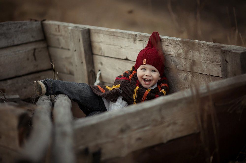 Гномик в тележке