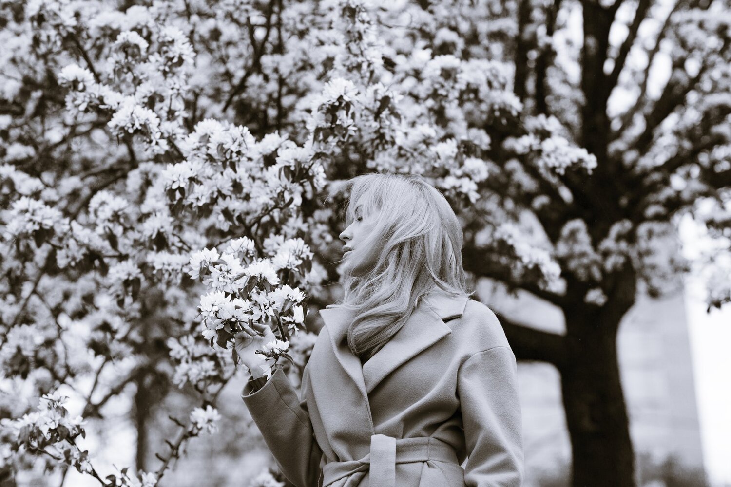 Photo #1747807