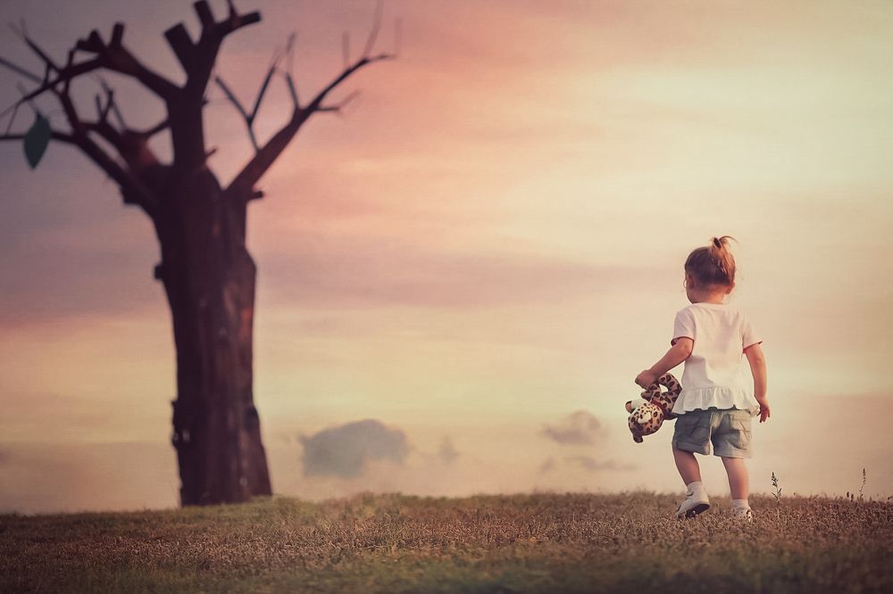 Одинокое дерево