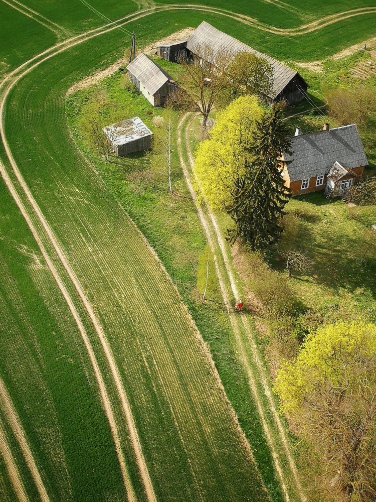 Одна дорога к дому