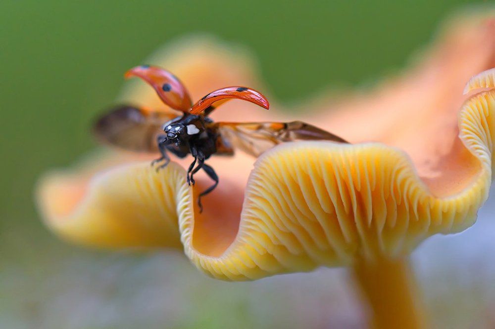 За момент до...