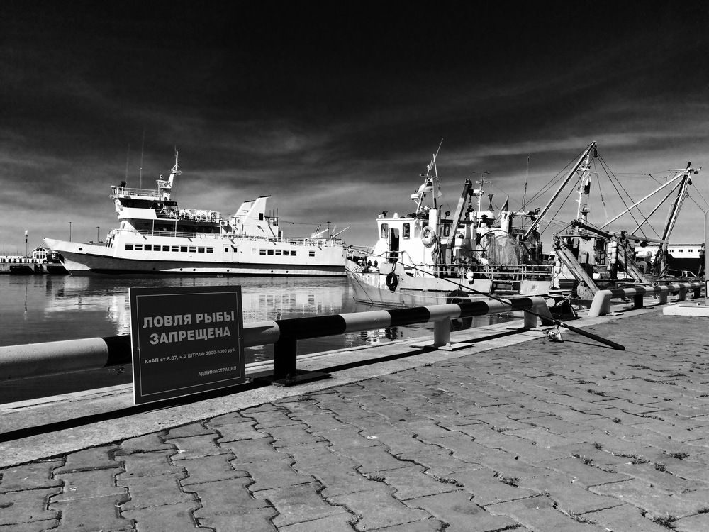 Утро в порту