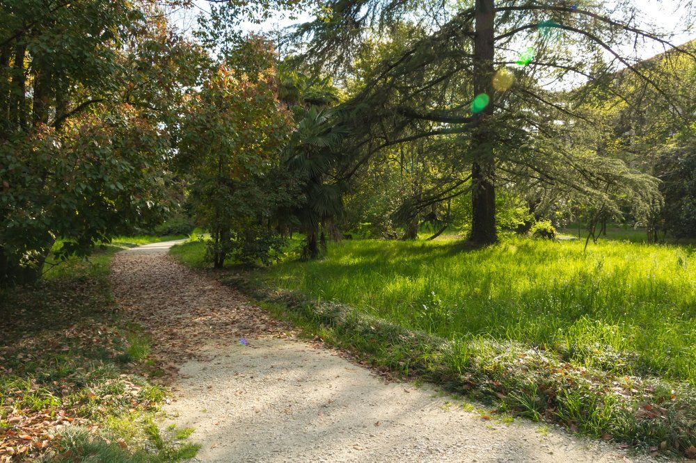 Photograph by Сергей Пилосян