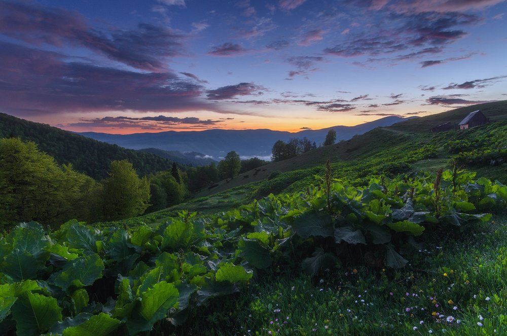 В гостях у пастухов