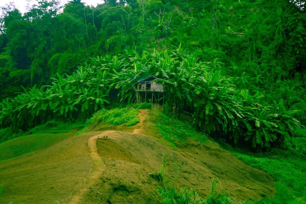 Green House