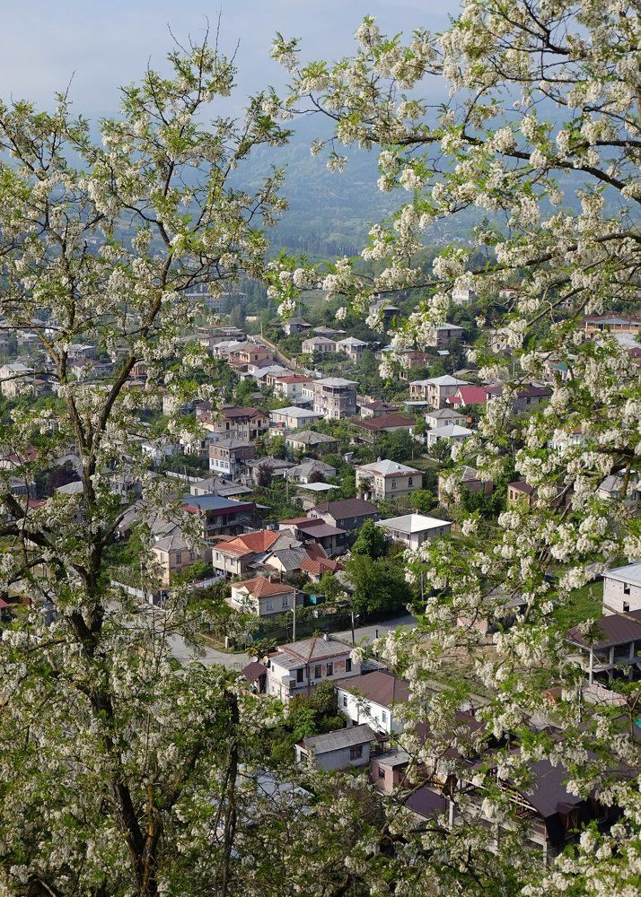 Майский Сухум