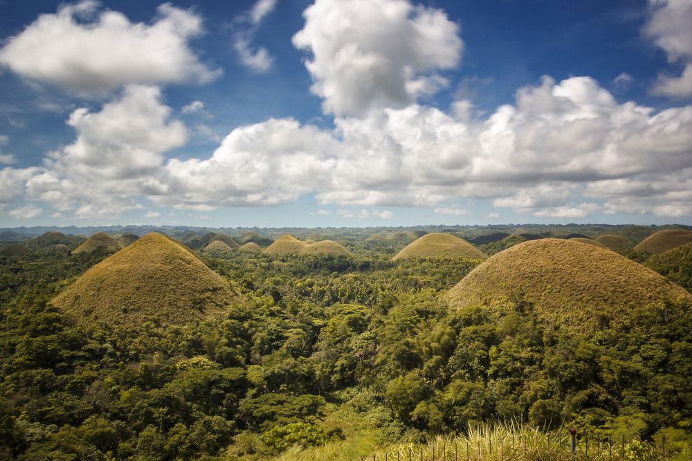 Chocolate Hills