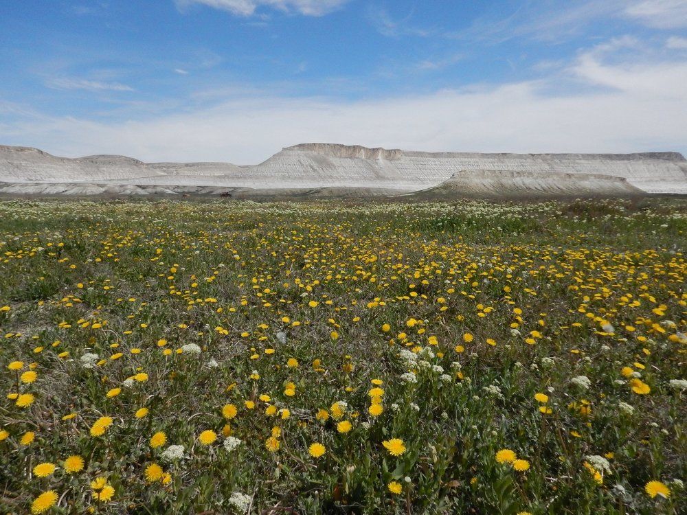 Весна в Мангистау, Казахстан