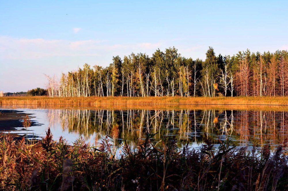 Photograph by Лариса Димитрова