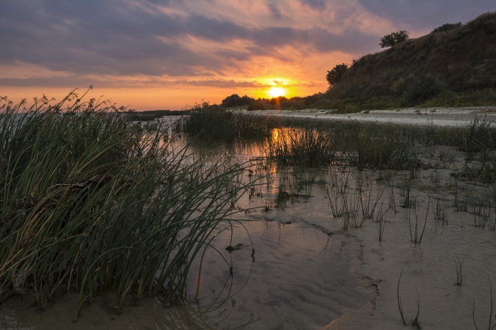 Рассветное