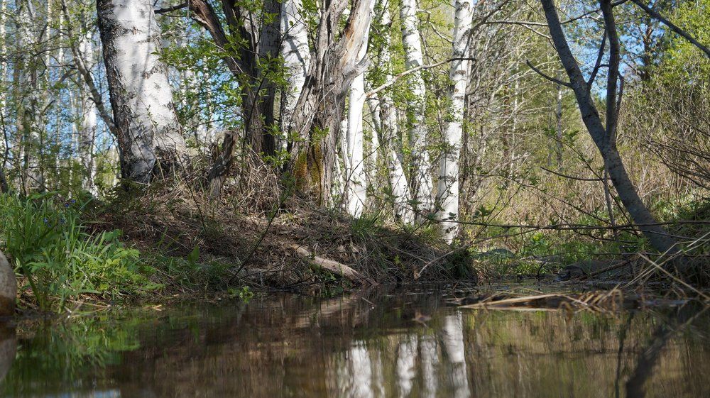 весенний ручей...