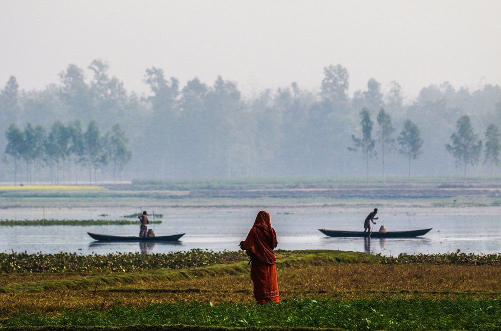 ও মাঝি (oarsman)