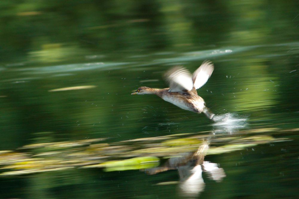 Take off.....!