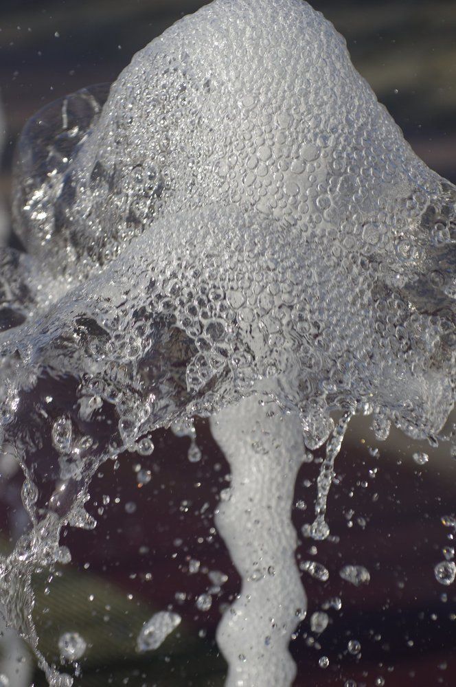 Photograph by Александр Русак