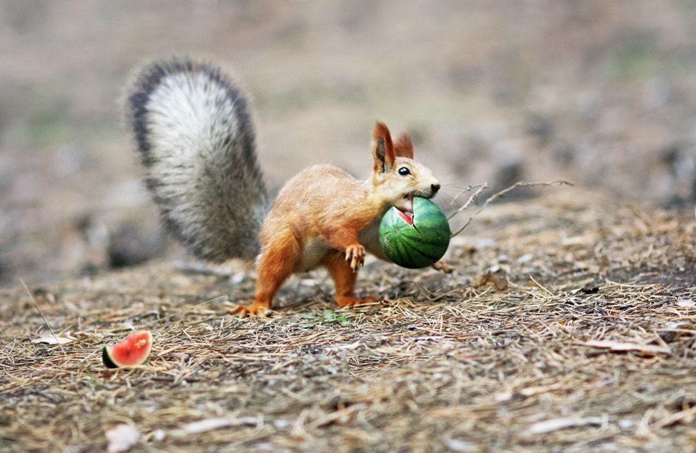 Правильный выбор