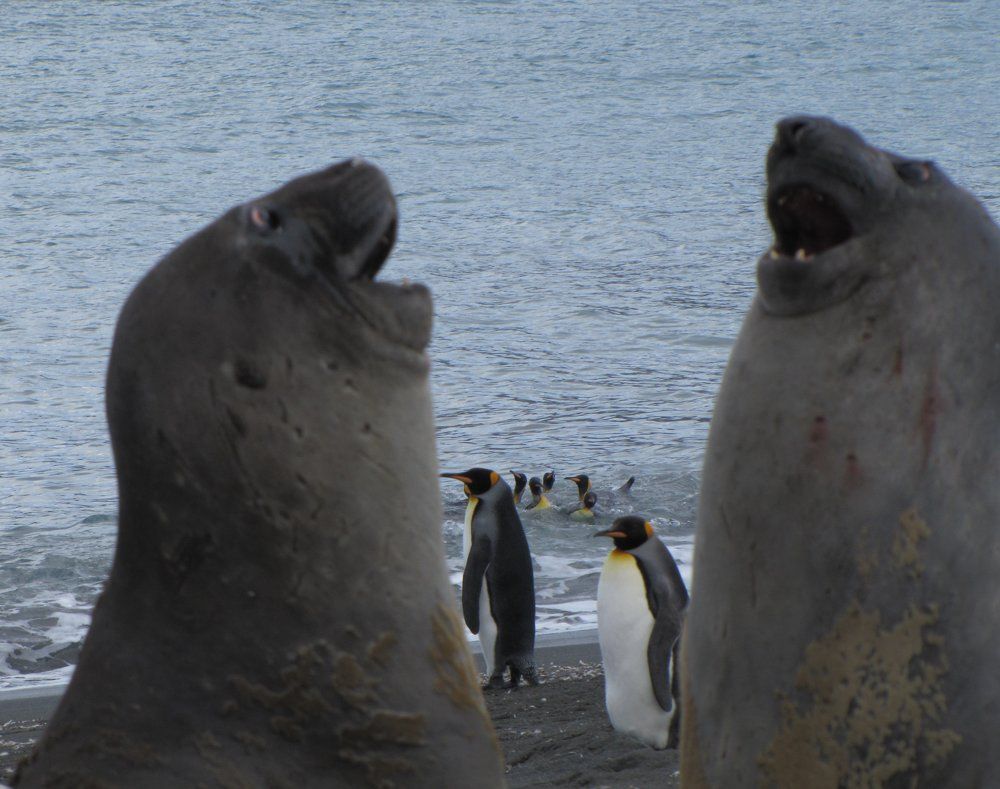 Photograph by Васильев Иван