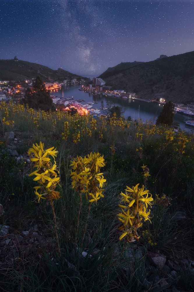 Балаклавские высоты