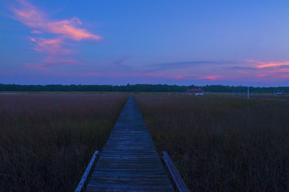 The South Carolina Sunset