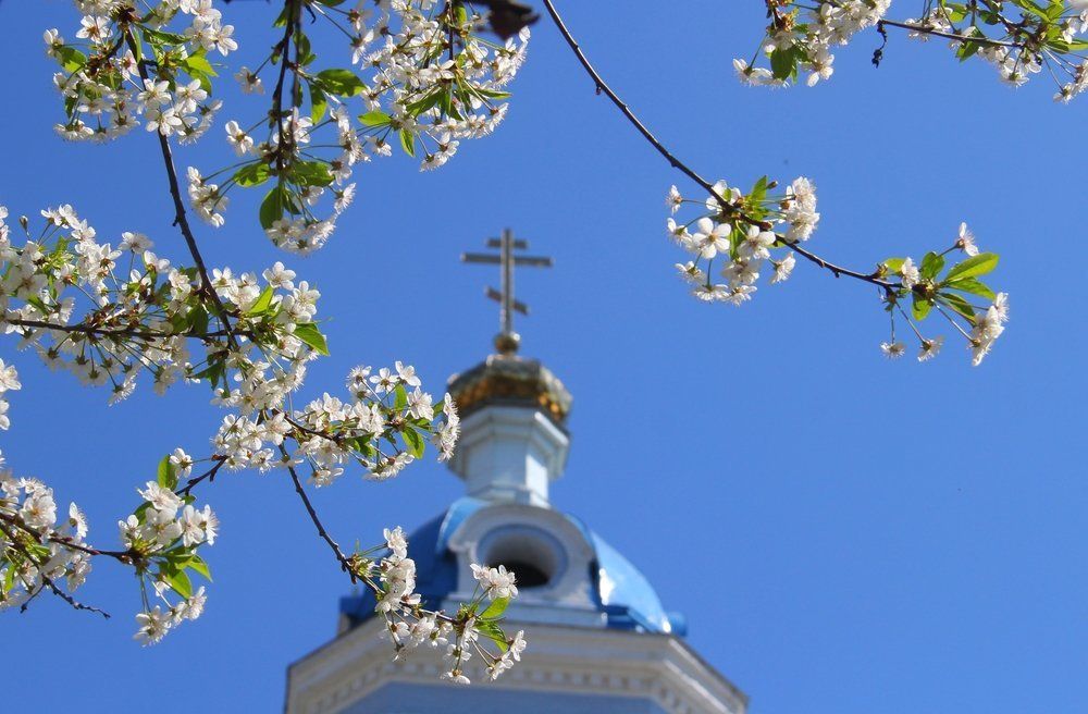 Весна. Цветение.