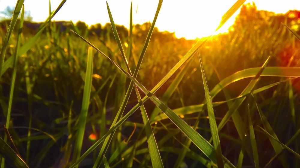 Ранним утром