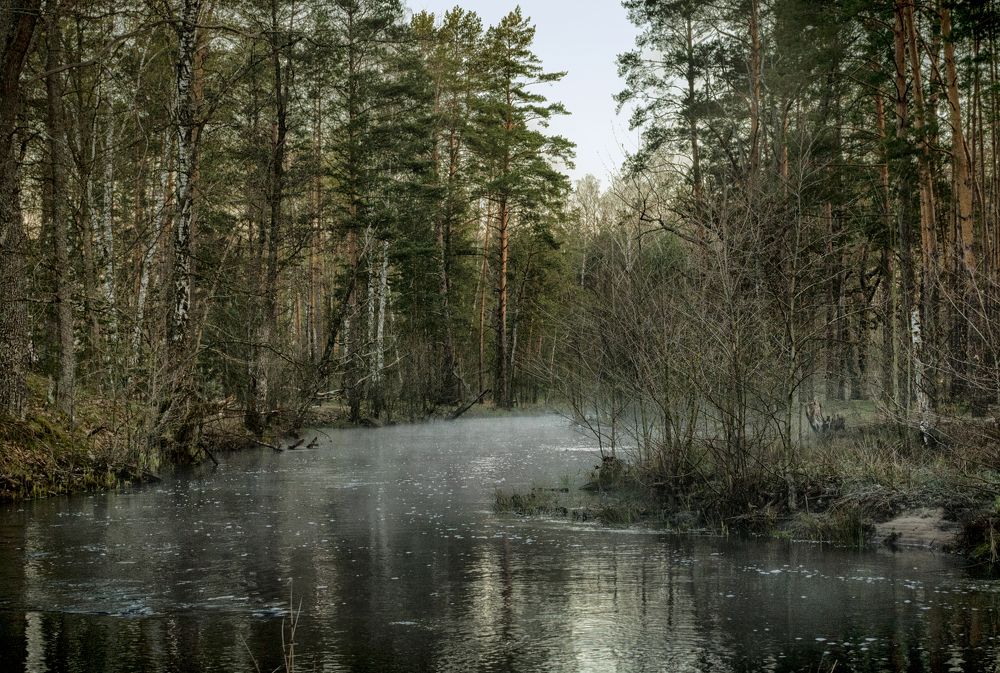 туманная река