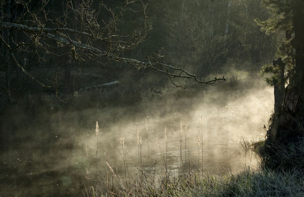 утро на реке