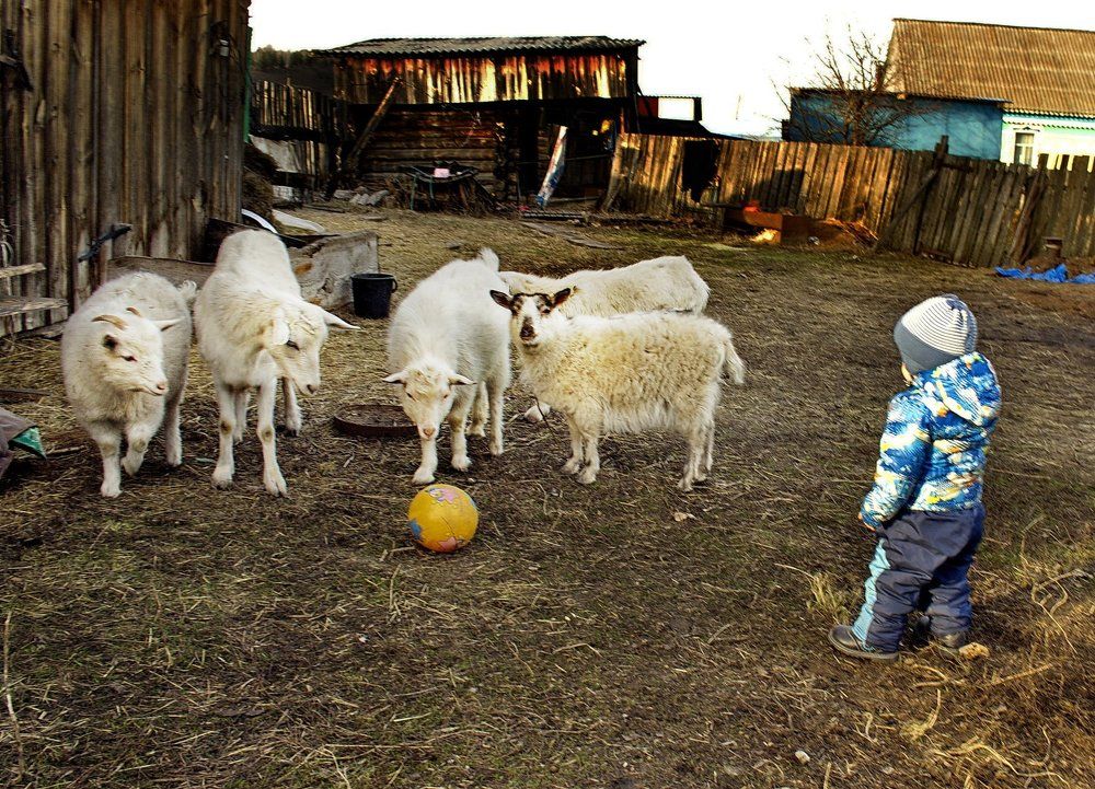 Защищайтесь !