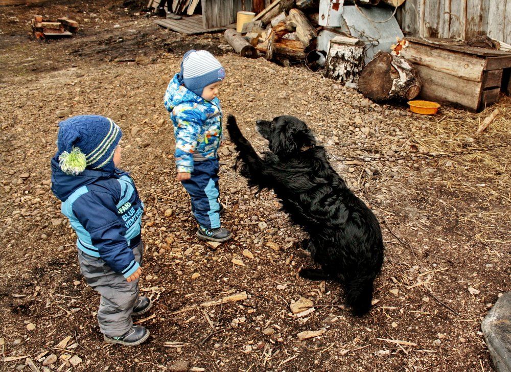 Дай лапу, малыш !