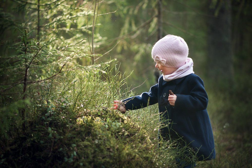 Волшебный лес