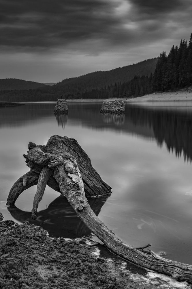 Photograph by Десислава Цвяткова