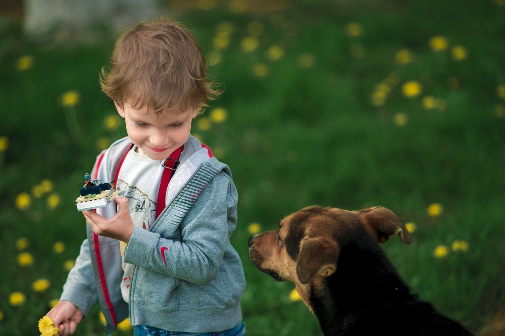 Одуванчики-огоньки