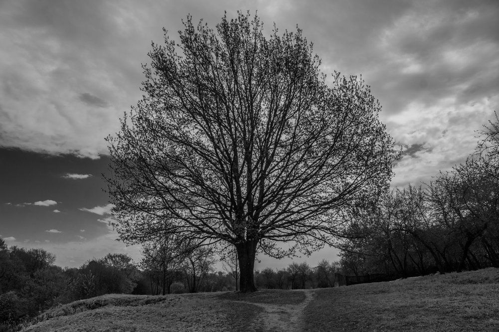 Photograph by Станислав Остраница