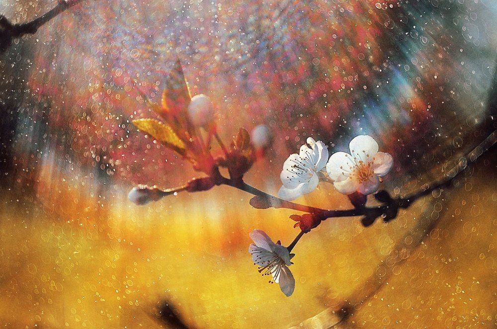 Весеннее настроение