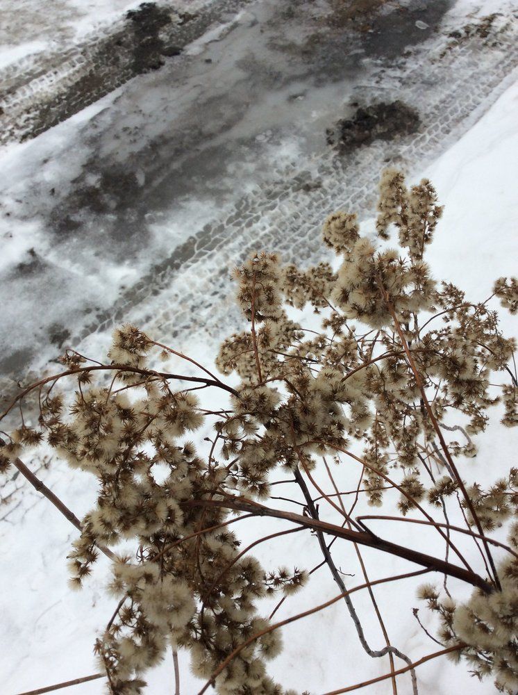 все краски весны