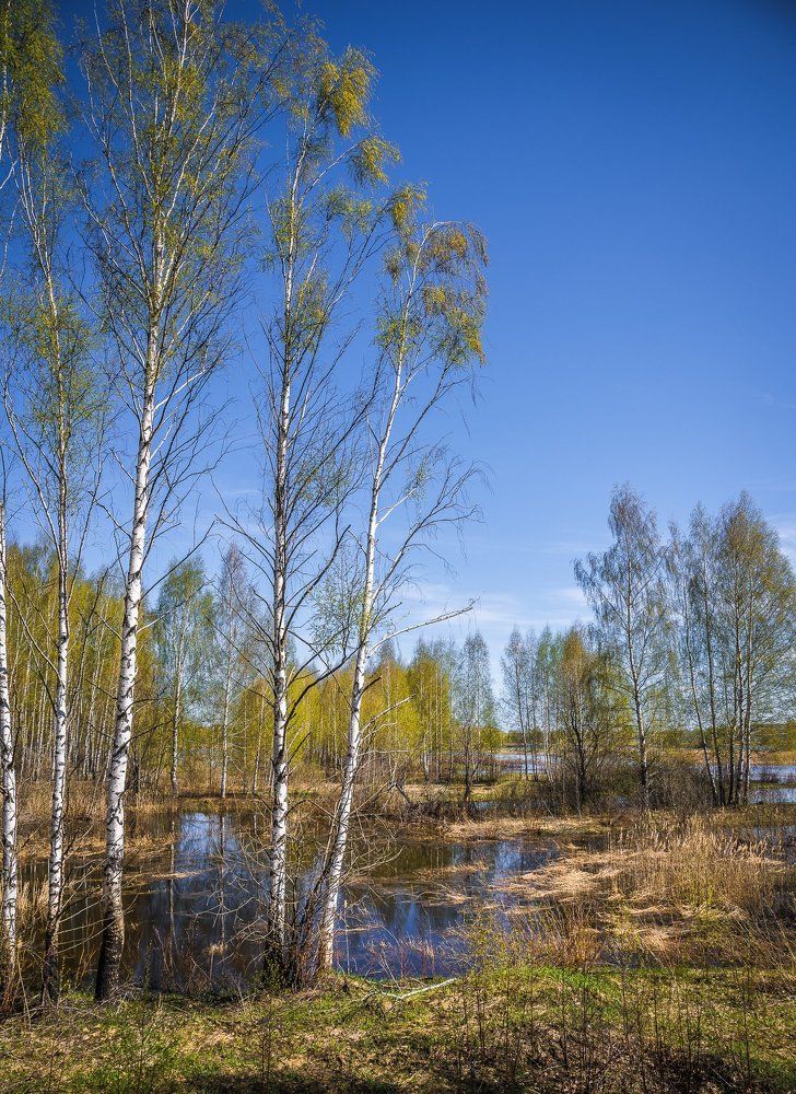 Пробуждение природы